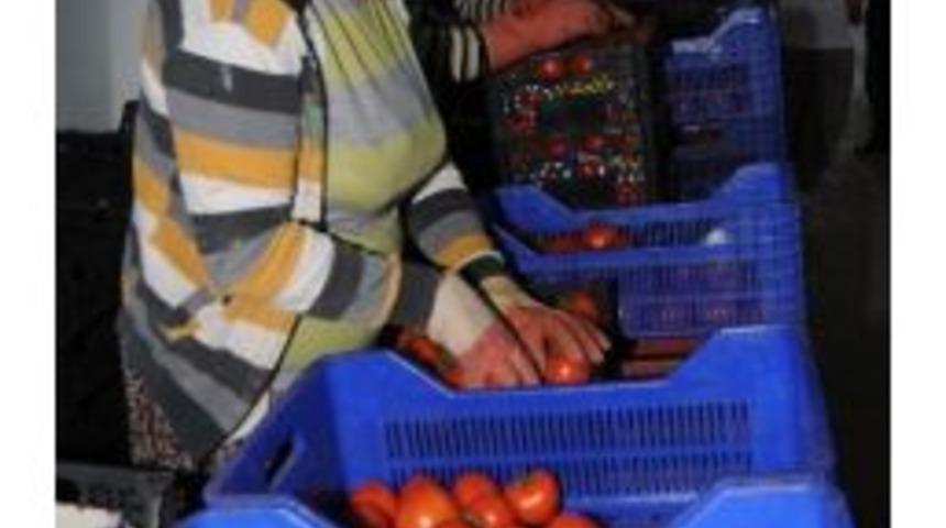 Sebze Meyve Fiyatlarına İhracat Ve Soğuk Etkisi