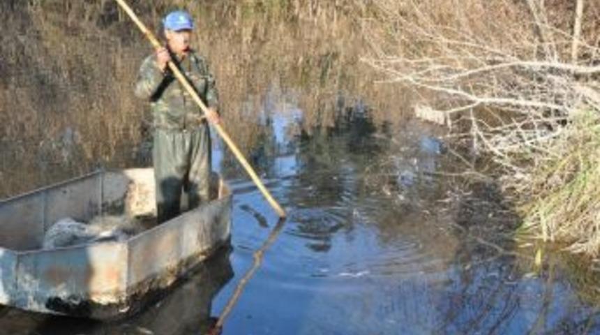 Ak&ccedil;ay&rsquo;daki Balık &Ouml;l&uuml;mleri Araştırılıyor