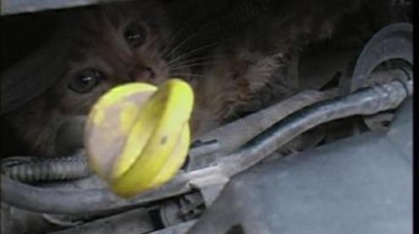 Aracınızı Kaputa Vurmadan &Ccedil;alıştırmayın