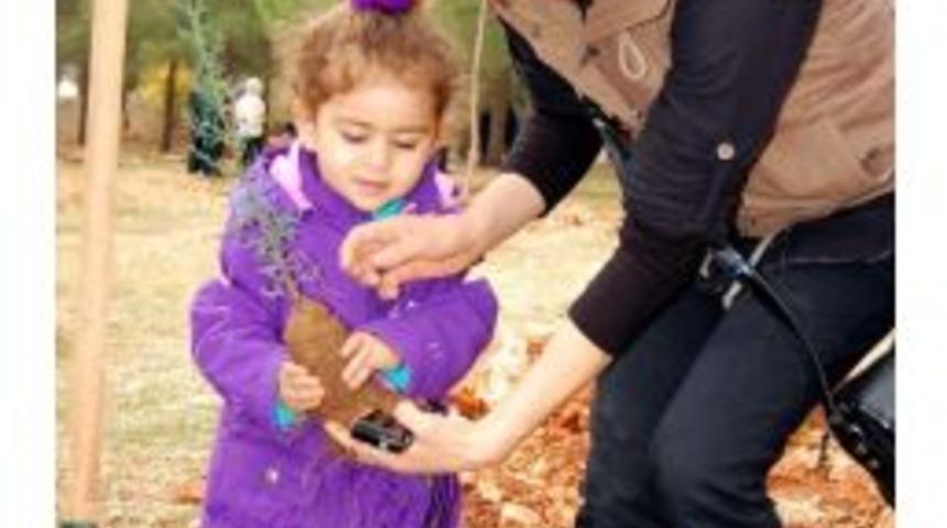 Adıyaman&rsquo;da 1 Milyon 400 Bin Fidan Toprakla Buluştu