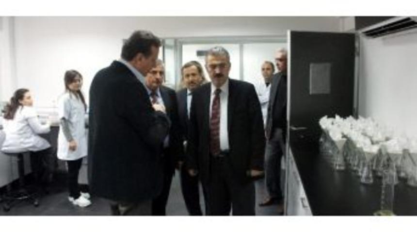 Vali Ayyıldız&rsquo;dan &ldquo;organik Hal&rdquo; &Ccedil;ağrısı