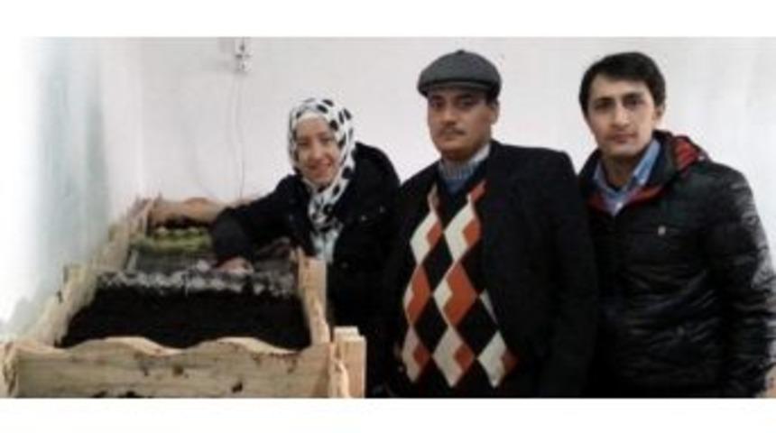 Germencik&rsquo;te Kaliforniya Solucanları Faaliyete Başladı