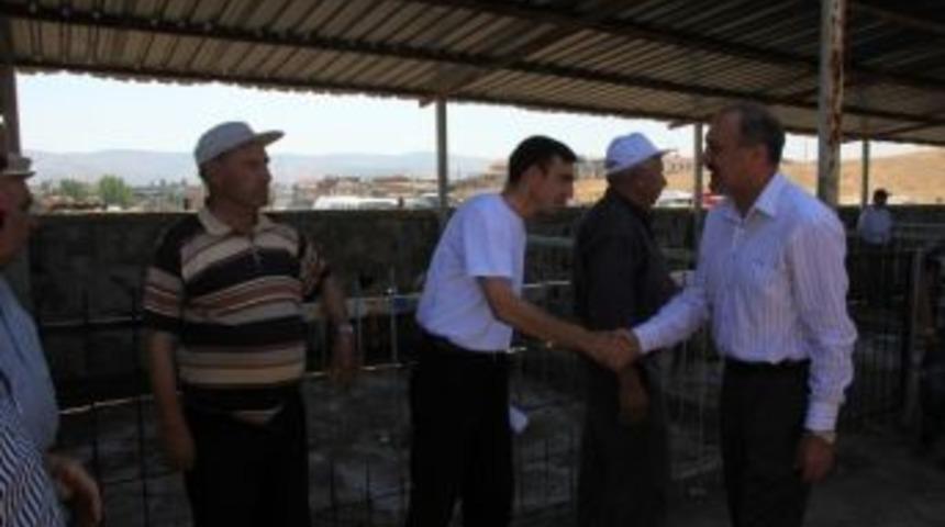 Kula'nın Hayvan Pazarı Ve Zahire Alanı Yenileniyor