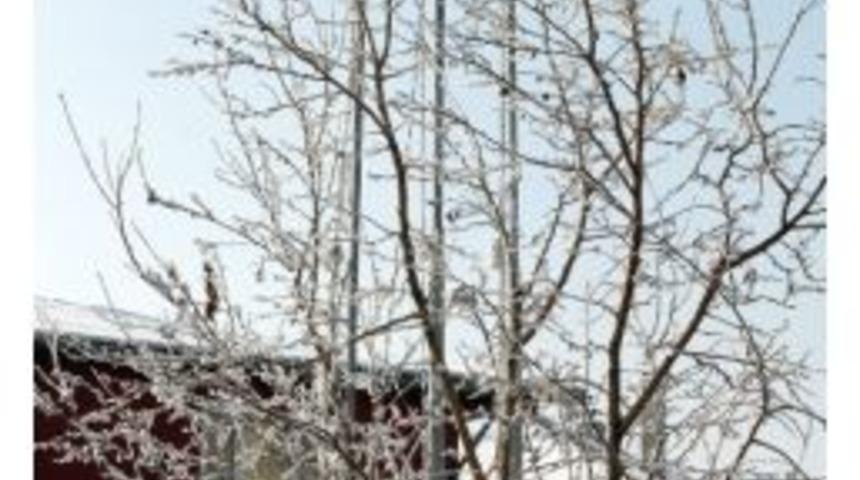 Pasinler&rsquo;de G&ouml;ndere &Ccedil;ekili Bayrak Dondu