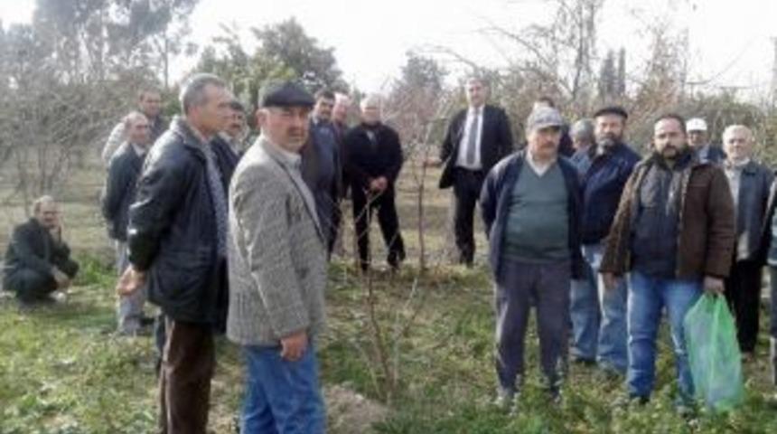 Sultanhisar&rsquo;da Meyve Ağa&ccedil;larında Budama Kursu Başladı