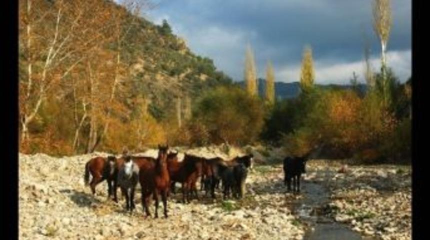 Burhaniyeli Fotoğraf&ccedil;ılar &Uuml;rg&uuml;p&rsquo;te Sergi A&ccedil;acak