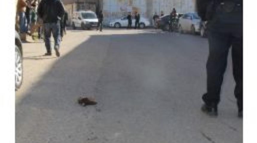 Şanlıurfa'da Kavga: 1 Yaralı