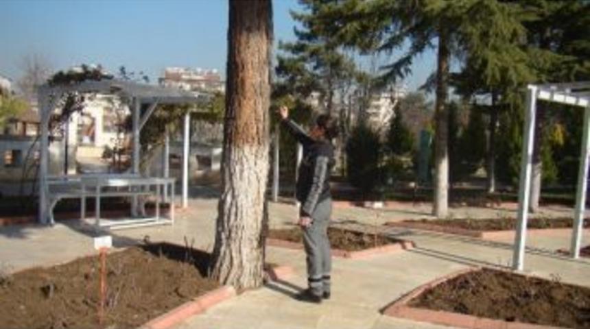 Gaziantep&rsquo;te Parklar Artık Daha G&uuml;venli