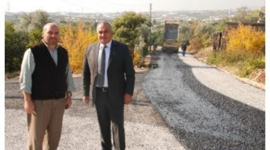 Başkan Tollu: "5 Yılda 450 Kilometre Yolu Asfalt D&ouml;kt&uuml;k"