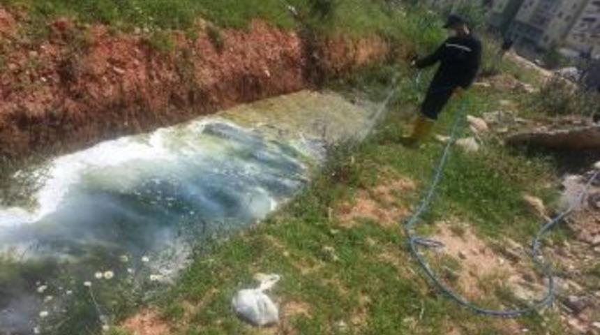 B&uuml;y&uuml;kşehir Belediyesi Sinekle M&uuml;cadeleye Başladı