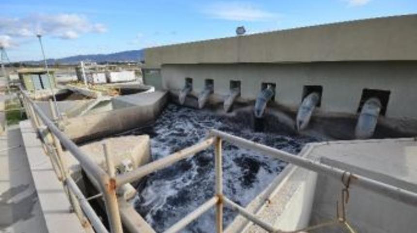 İzmir'in Arıtma Suyunda "tatlısu Balıkları" Y&uuml;z&uuml;yor