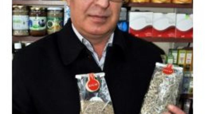 Grip Salgını Aktarlara İlgiliyi Artırdı