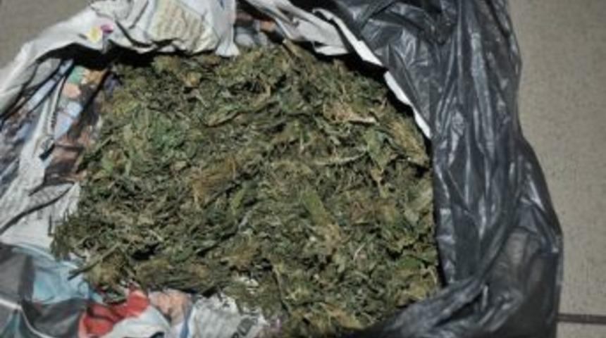 Jandarmadan Uyuşturucu Operasyonu