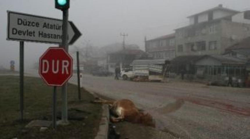 D&uuml;zce&rsquo;de Sis Kazaya Yol A&ccedil;tı