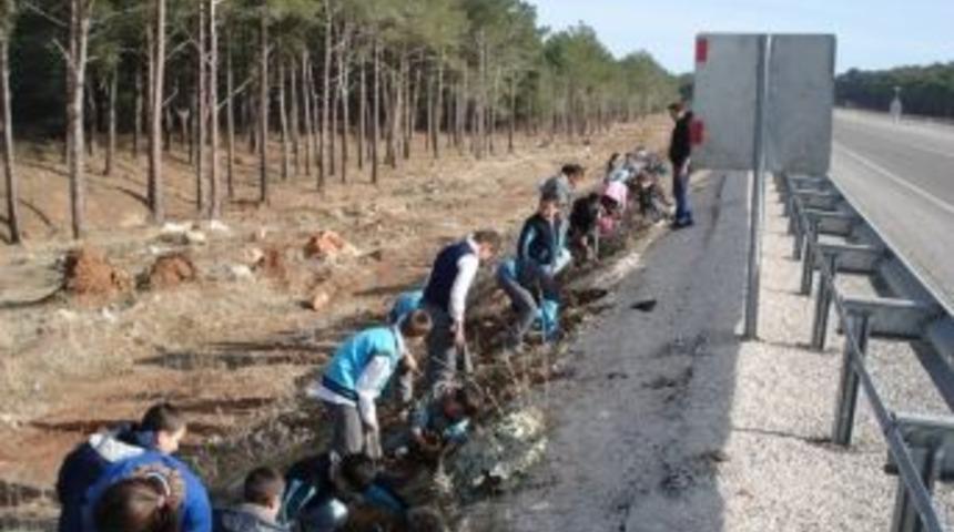 Yol Kenarları Ağa&ccedil;landırılıyor
