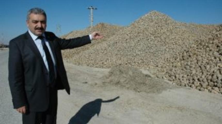 Karaman’da Şeker Pancarı Alımı Sona Erdi