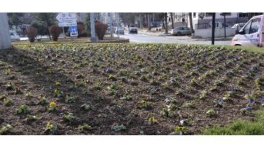 Simav Kış &Ccedil;i&ccedil;ekleriyle Donatıldı