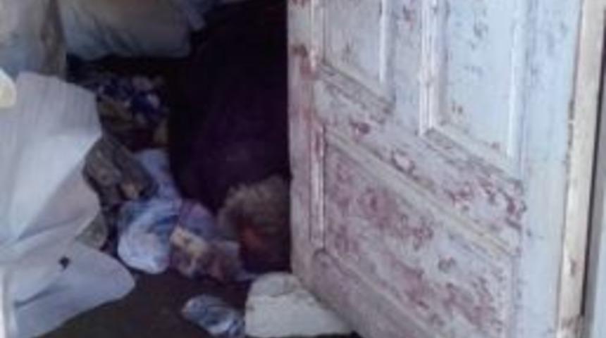 İhtiyar Balık&ccedil;ı Bakımsızlıktan &Ouml;ld&uuml;