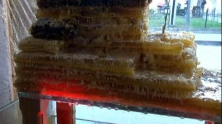 Fındıktan Sonra Bal &Uuml;retiminde De T&uuml;rkiye Lideri