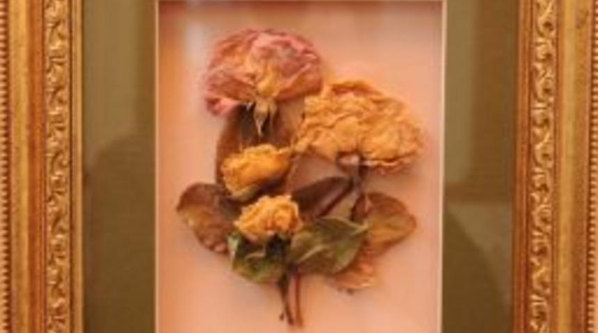 20 Yıllık Kurutulmuş &Ccedil;i&ccedil;ekler Hamam&ouml;n&uuml;&rsquo;nde Sergileniyor