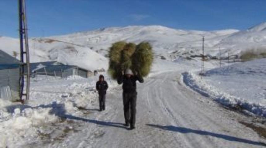 &Ccedil;ift&ccedil;iler Otları Sırtlanarak 1 Kilometre Y&uuml;r&uuml;yor