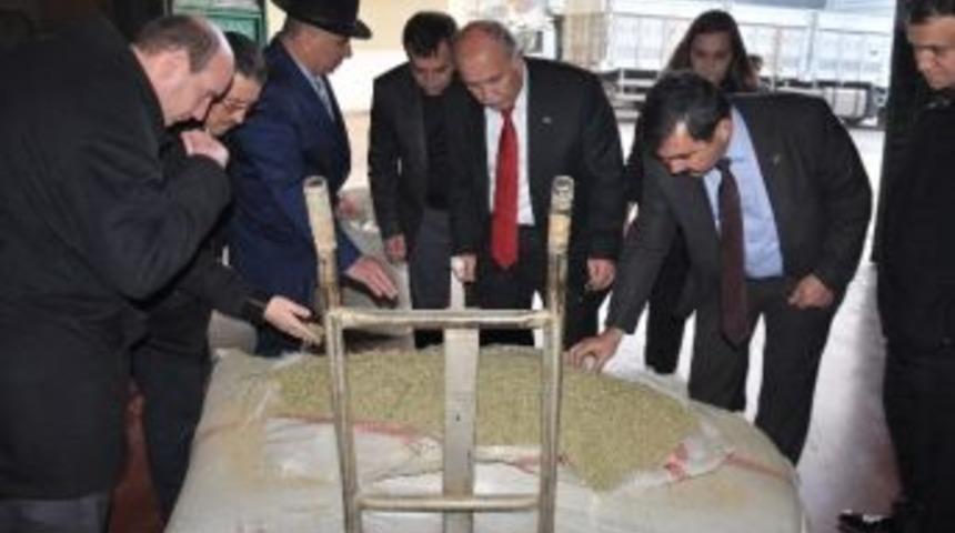 K&uuml;tahya Kekik &Uuml;retim Merkezi Oluyor