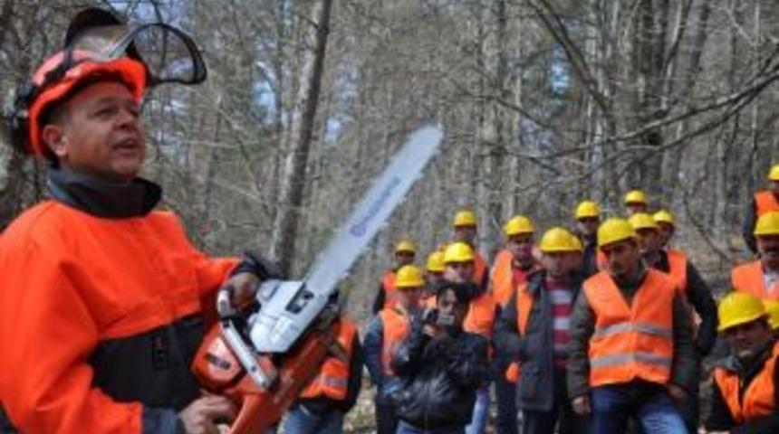 İneg&ouml;l Ormanları Para Basıyor