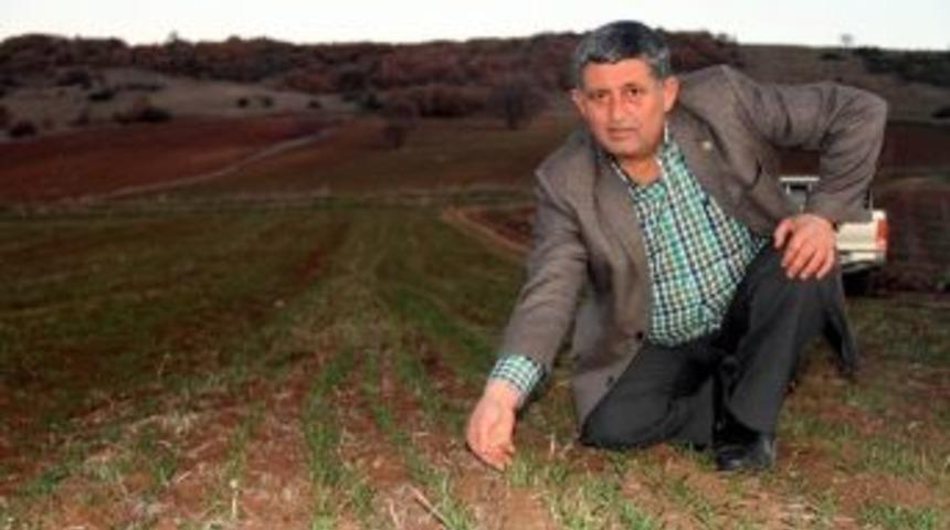 (&ouml;zel Haber) Kuraklık Bursa Ovasını Da Vurdu