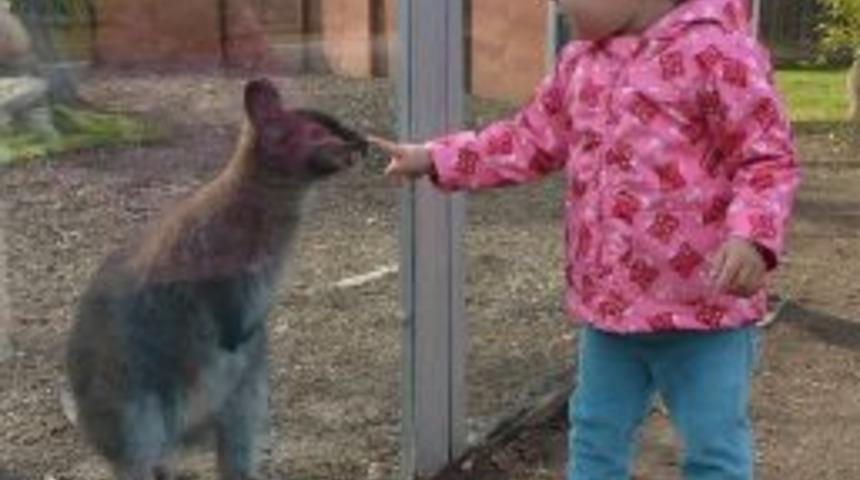 ‘şanslı’ Doğal Yaşam Parkı’nın İlgi Odağı Oldu