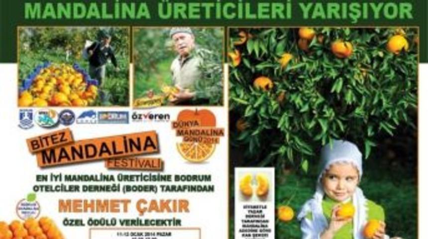 Bodrum Mandalin Festivali Hazır