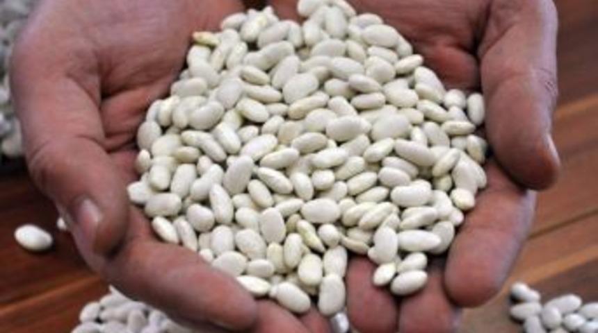 Bakliyat Toptancıları İsyanda