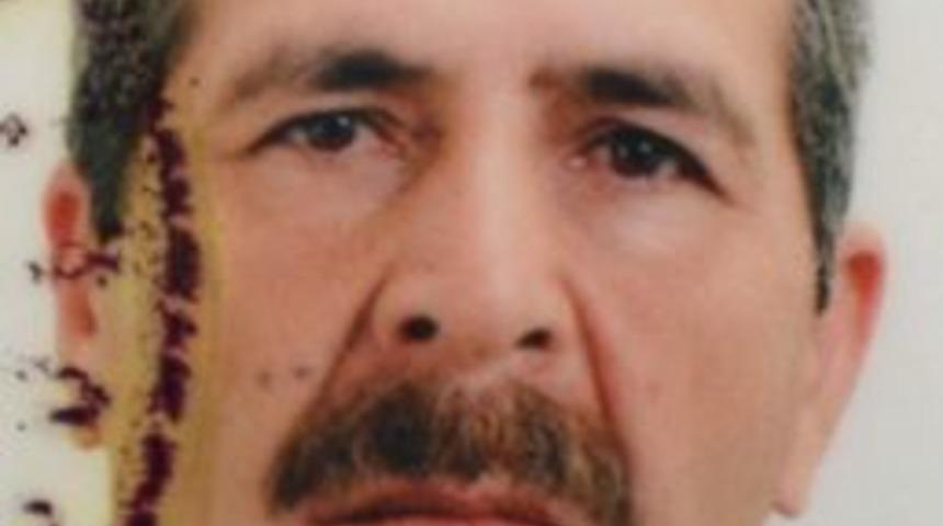 Bunalıma Giren Şahıs Kendini &Ccedil;am Ağacına Astı