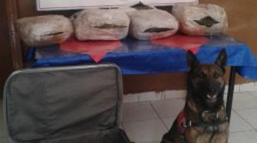 Yolcu Otob&uuml;s&uuml;nde 13 Kilo Esrar Bulundu