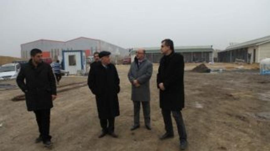 Yenimahalle&rsquo;ye Avrupa Standardında Barınak