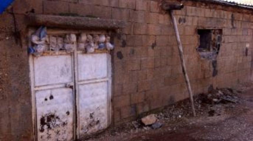 Adıyaman'da 29 Adet K&uuml;&ccedil;&uuml;kbaş Hayvan &Ccedil;alındı