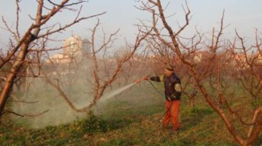 Ağa&ccedil;ların Erken Uyanmaması İ&ccedil;in Zirai M&uuml;cadele Başladı