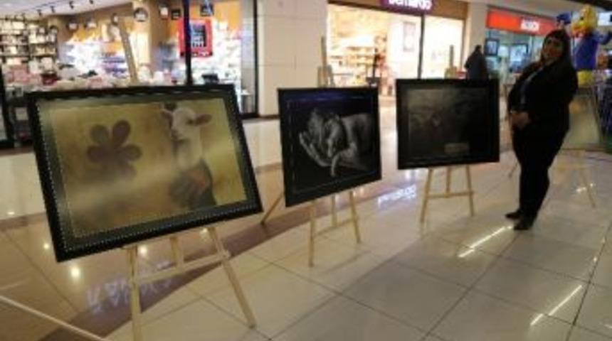 D&uuml;nyanın En Rahat Yeri Kayseri&rsquo;de Sergilendi