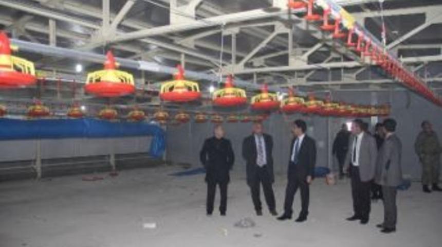 Darende’de Ab Standartlarında Tavuk Çiftliği Kuruldu