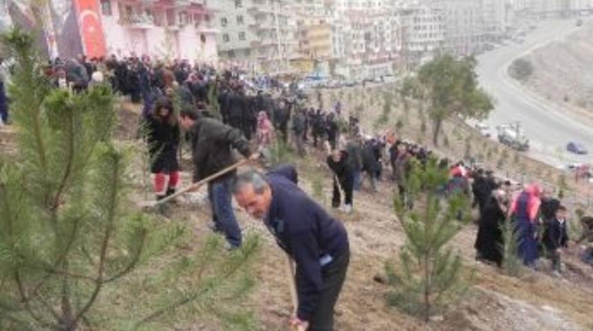 Ke&ccedil;i&ouml;ren Yeşerdi