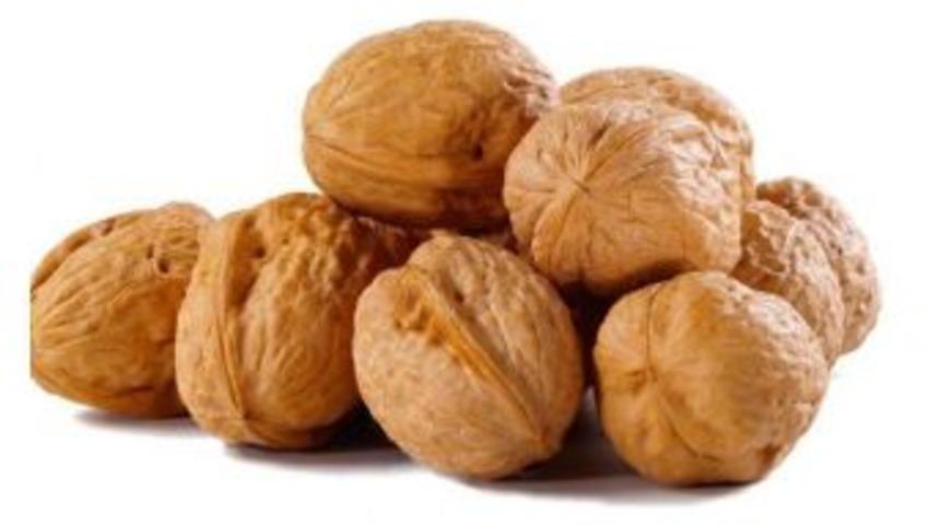 Orman Ve Su İşleri Bakanlığı&rsquo;ndan Bir İlk Daha