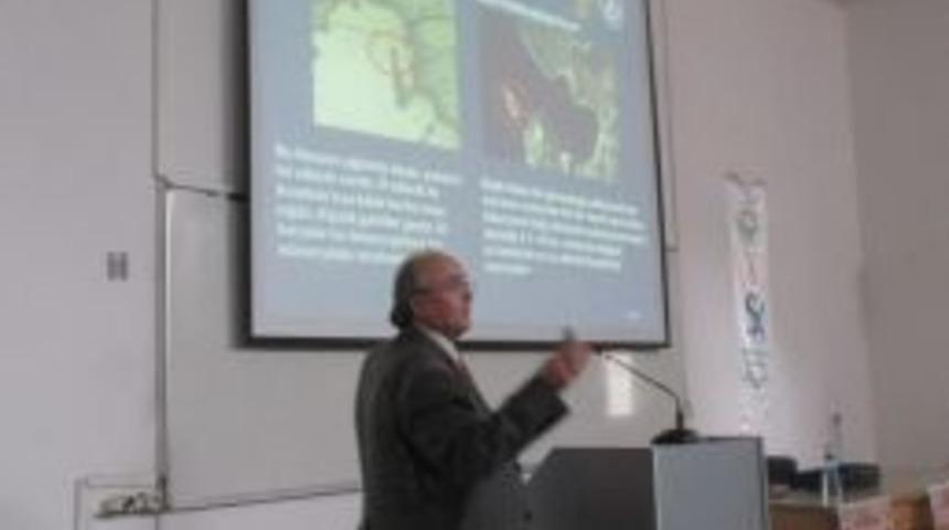 Dağdeviren: "piri Reis Haritası D&uuml;nya K&uuml;lt&uuml;r Mirası Oldu"