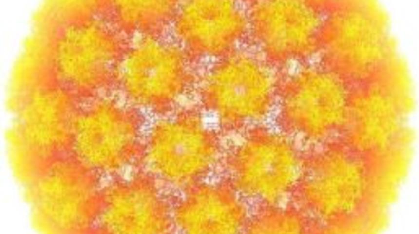 Her 4 Kişiden 3&rsquo;&uuml;nde Hpv Vir&uuml;s&uuml; G&ouml;r&uuml;l&uuml;yor