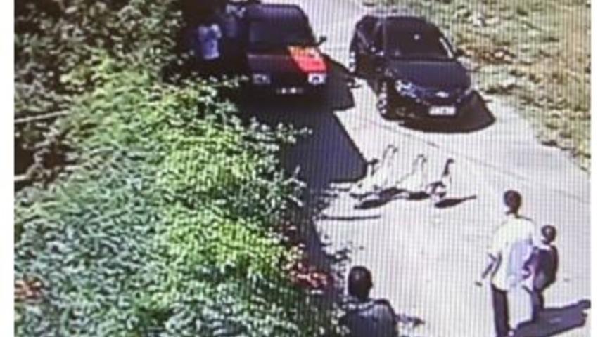 'kaz' Cinayetine 16 Kez &Ouml;m&uuml;r Boyu Ve 30'ar Yıl Hapis İstendi