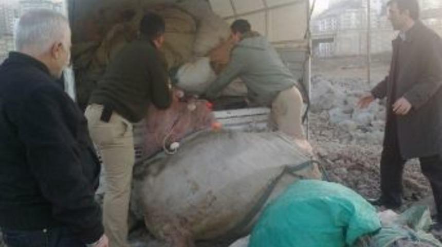 Trabzon&rsquo;da Balık&ccedil;ılara Ağ Denetimi