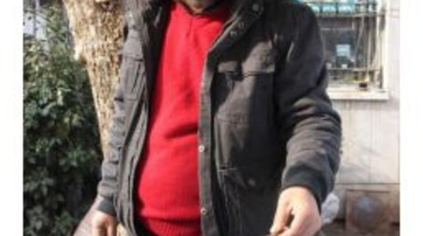 Kestane Fiyatları El Yakıyor