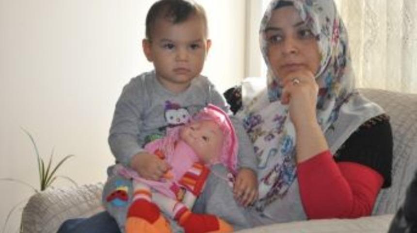 K&uuml;bra Ve Efe İ&ccedil;in Yardım Kampanyası Başlatıldı