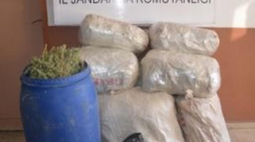 Bing&ouml;l'de 122 Kilogram Esrar Ele Ge&ccedil;irildi