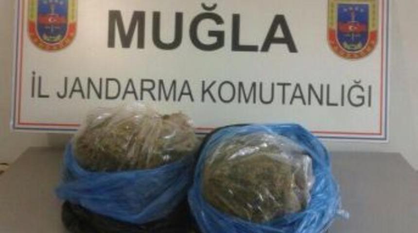 Marmaris'te Teneke İ&ccedil;inde Altı Kilo Esrar Ele Ge&ccedil;irildi