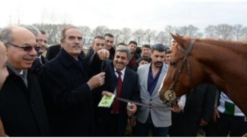 Ata Sporu Cirit B&uuml;y&uuml;kşehir İle Canlanıyor