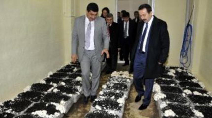 S&uuml;, Konya&rsquo;nın Mantar Arşivini Oluşturuyor
